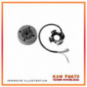 Flywheel And Stator Sgr 163587 Benelli Rr 491 50 03 | In Then