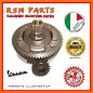 Clutch with flexible reports 18 67 Vespa 50 Special