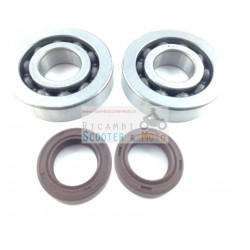 Kit bearings / Crankshaft Seals Revision Gilera Stalker 50