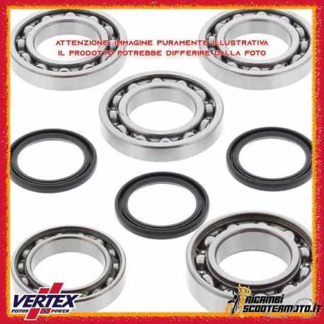 Kit Oil Seal Hinten Differential Can-Am Renegade 500 2015