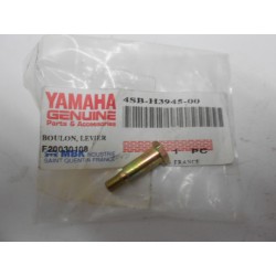 Vis Levier Yamaha Yp 125 SM / Neos / SM 180 Yp
