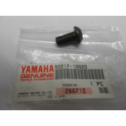 Terminal Screw Exhaust Yamaha Tw 125 / XVS XVS From 650 To 1600