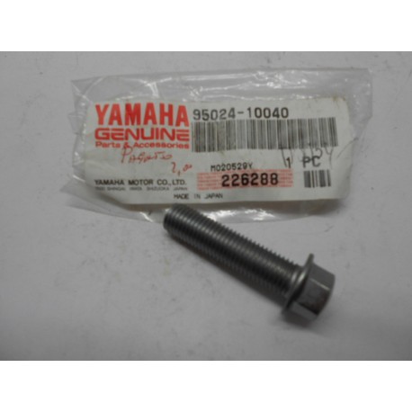 Tornillo del soporte del reposapies Yamaha Virago Xv 250-535 96