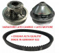 Variator motor gearbox and belt kit 022 AIXAM 400.4 500.4 500.5 EVO