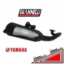 Auspuff Giannelli GO Yamaha WHY 50 2T