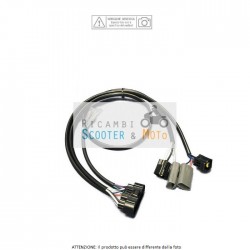 Viruta Kit Rb3 cableado Aprilia RSV R trueno (Rrl00) 1000 06/11