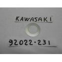 Lavadora Frente Tenedor de Kawasaki