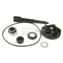 Water Pump Revision Kit Piaggio Beverly 500 From 2002 To 2004